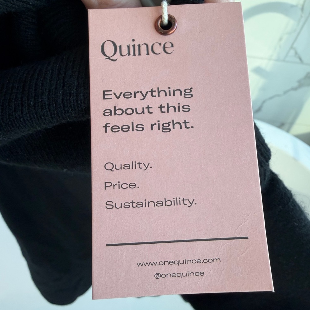 Quince Elegant Black Turtleneck Dress - Picture 3 of 5